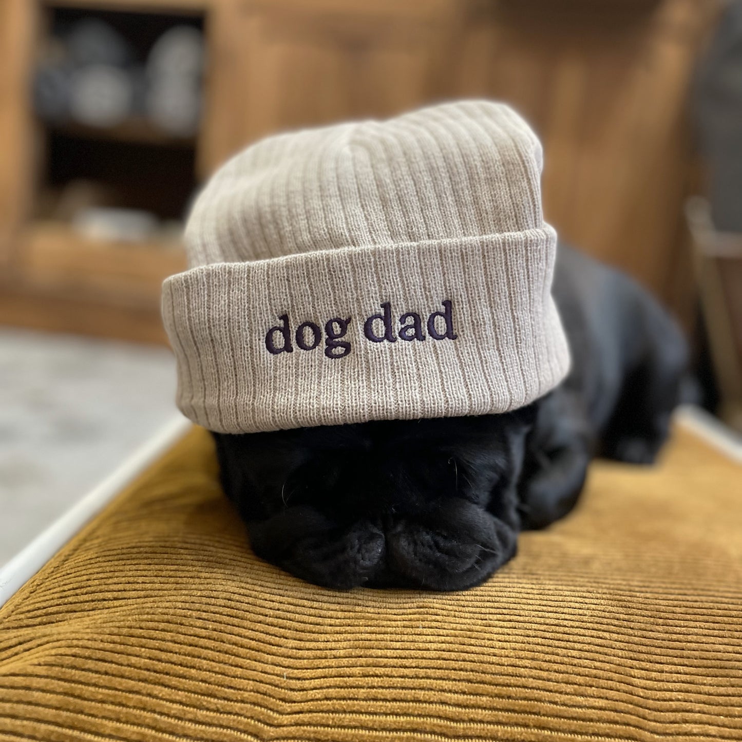 Bonnet Dog dad beige