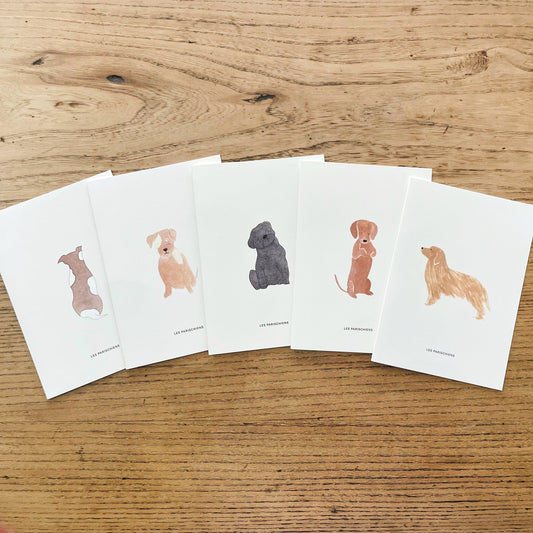 Ensemble de 5 cartes postales