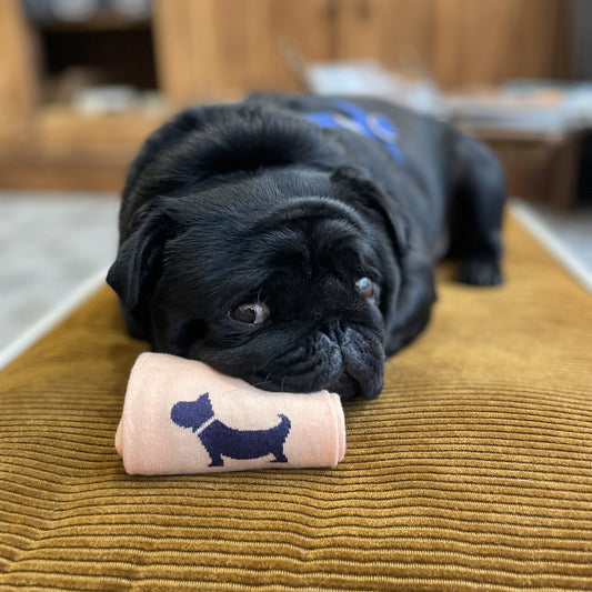 Chaussettes roses chien bleu