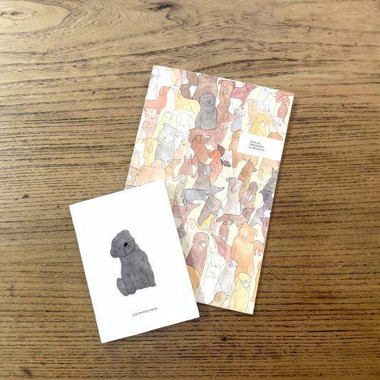 Ensemble de 2 carnets carlin et allover