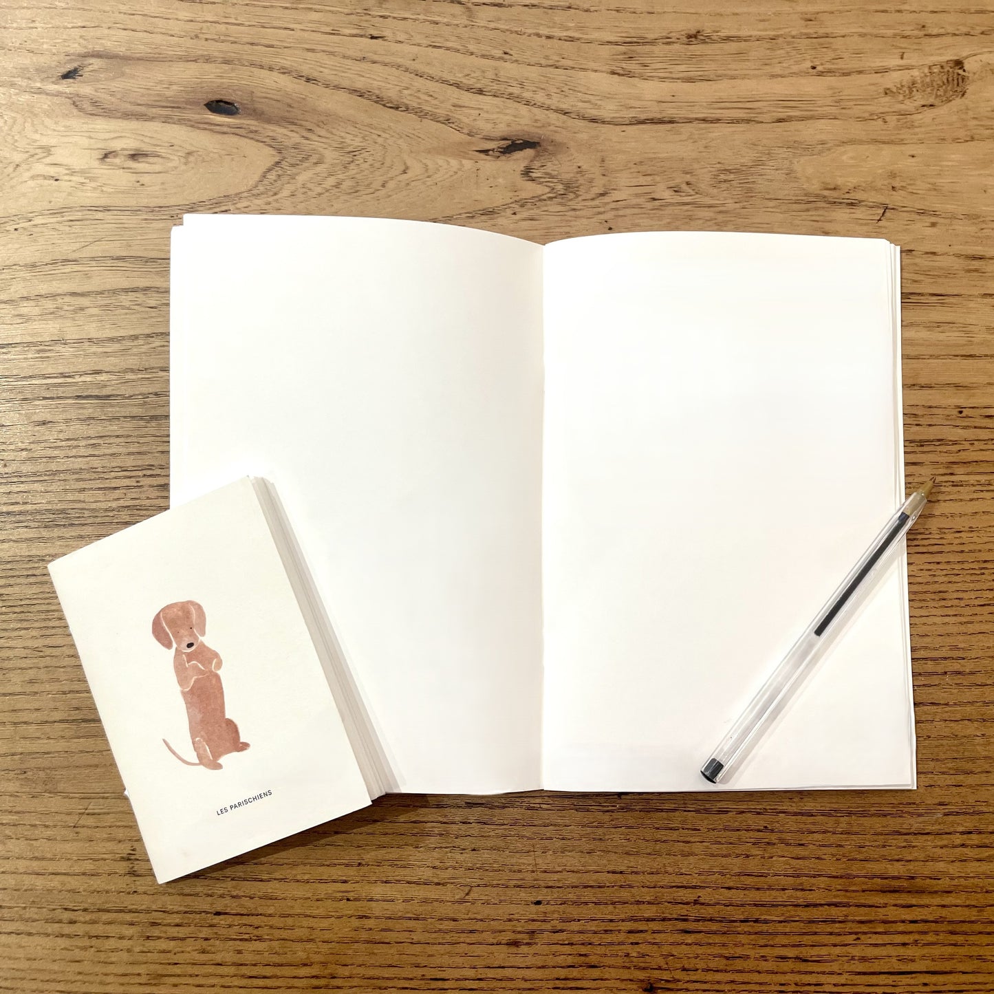 Ensemble de 2 carnets teckel et allover