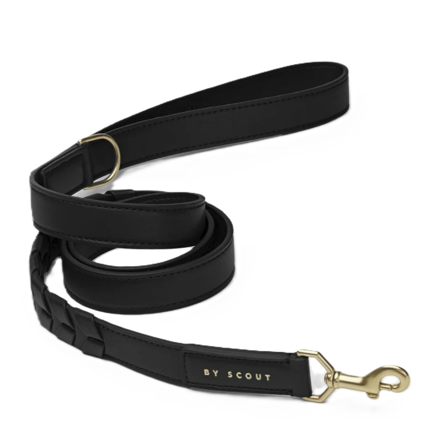 Laisse standard en cuir végétal - modèle large