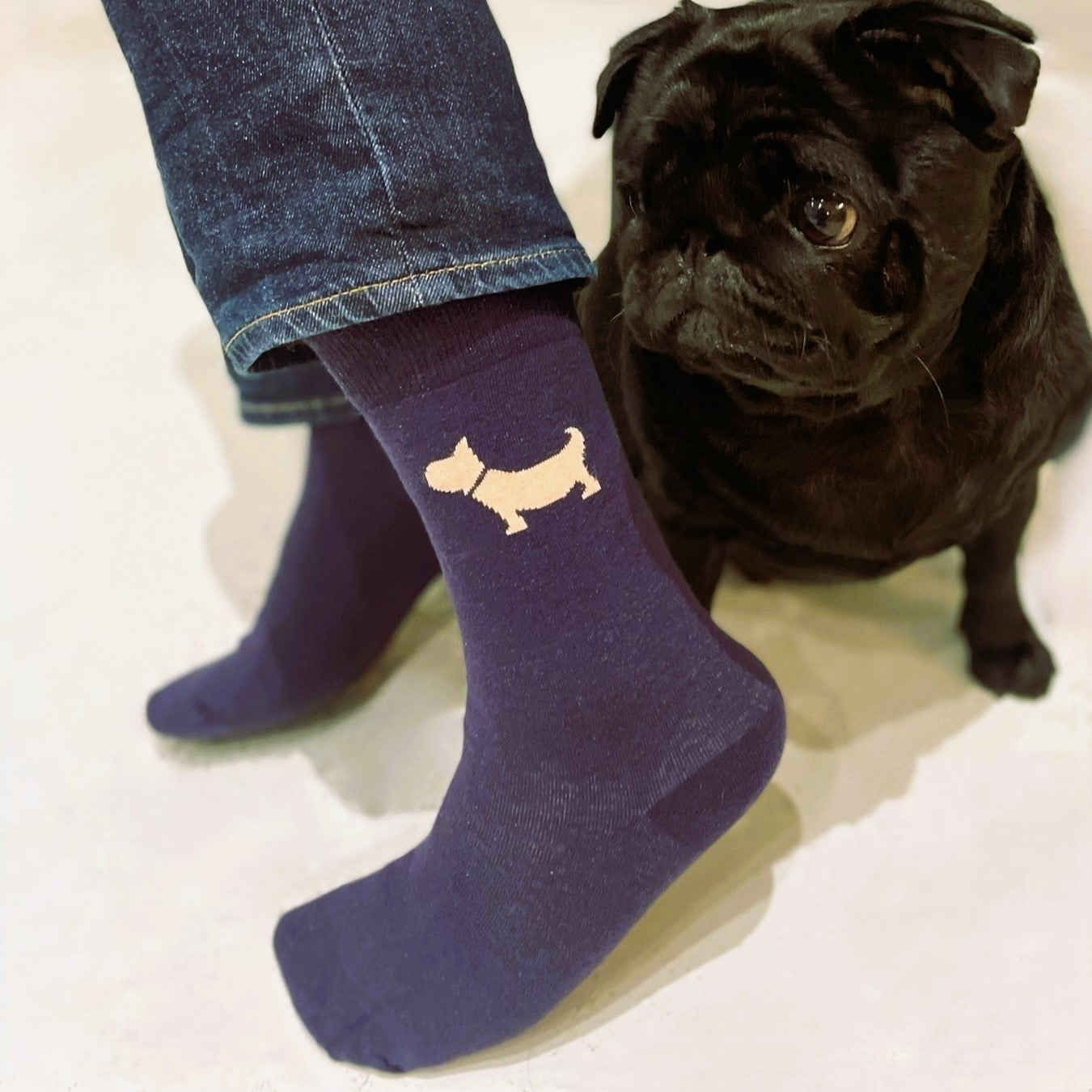 Chaussettes bleues chien rose