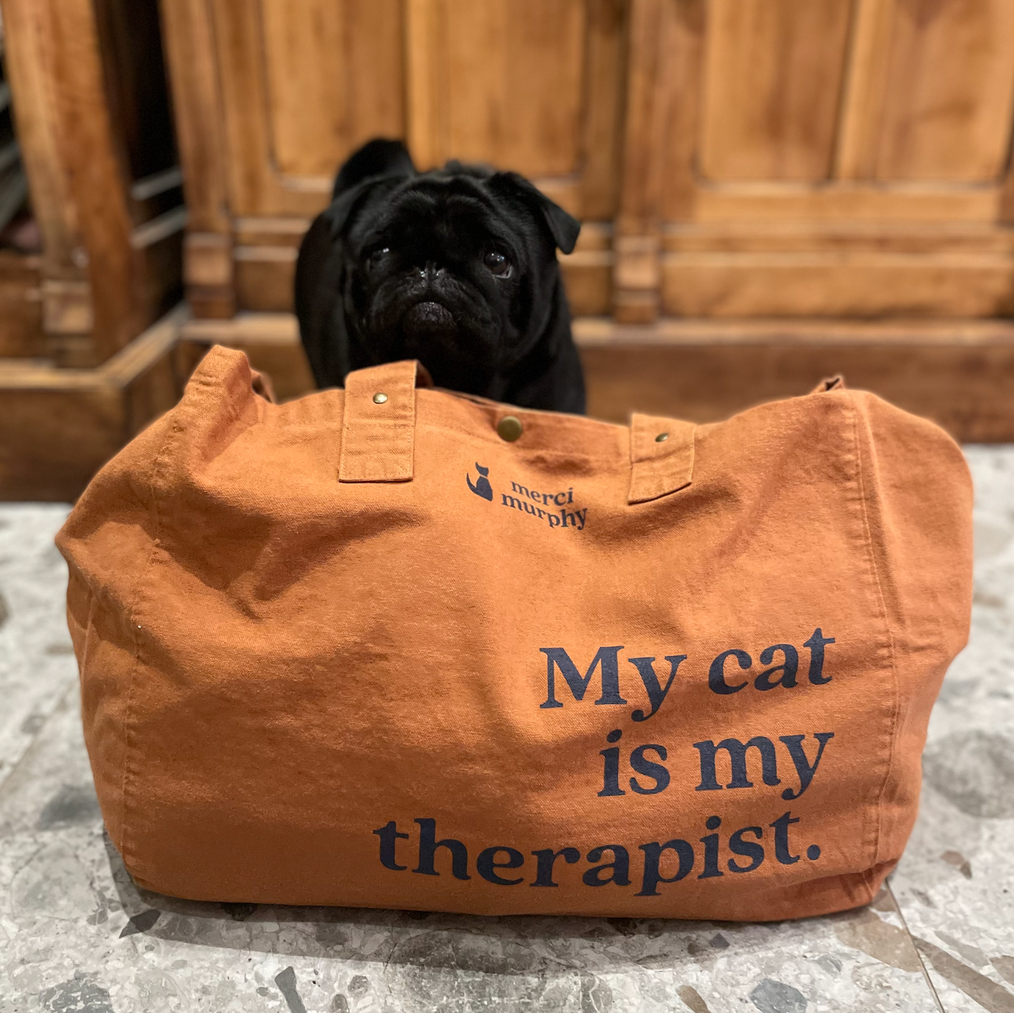 Le Murphy week-end, cabas caramel - My cat is my therapist
