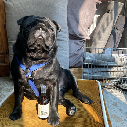 Very bonne gueule soin anti-bactérien et nettoyant ultra doux