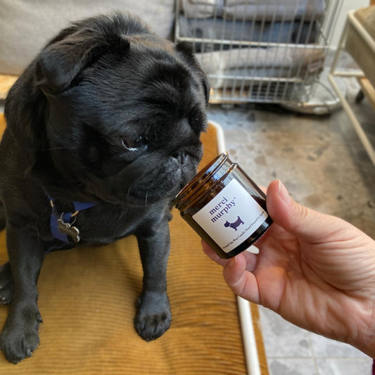 Bougie merci murphy - grand format