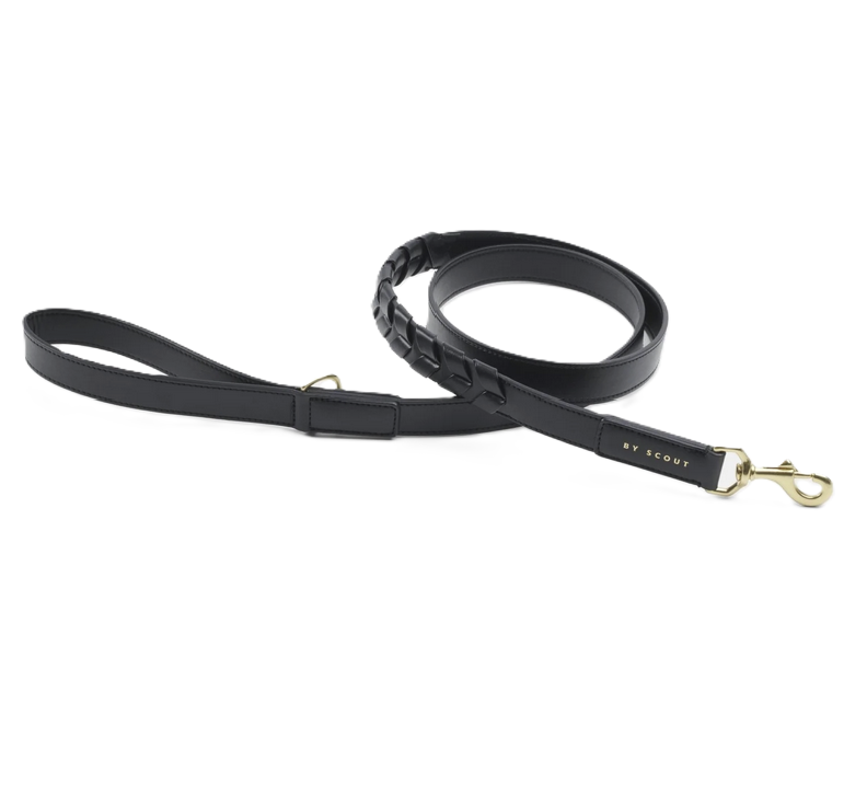 Laisse standard en cuir végétal - modèle large